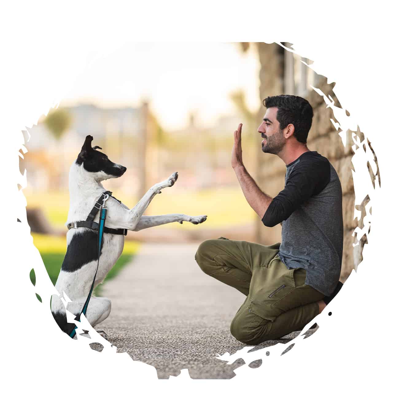 מרכז הכלב והאדם, מרכז הכלב והאדם