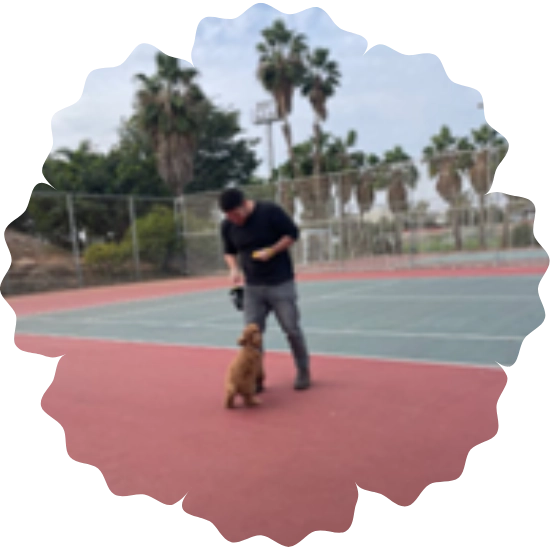 מרכז הכלב והאדם, מרכז הכלב והאדם